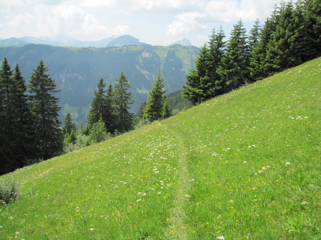 kurz vor Züneweid 1618 m.ü.M.