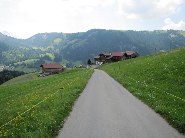 auf Sunnigi-Louwene oberhalb von Lauenen