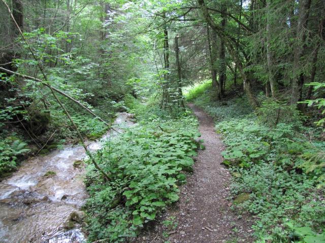 dem Mülibach entlang geht es nach Lauenen