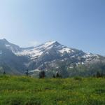 Blick von der Terrasse zum Les Diablerets Massiv