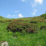 ... und danach mässig steil aufwärts Richtung  Col de Voré