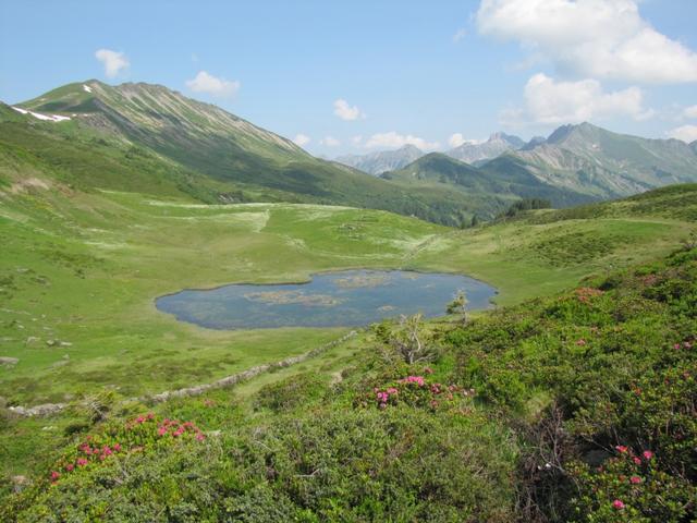 Blick auf den kleinen Bergsee, der sich direkt unterhalb vom Col de Voré befindet