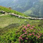 Blick auf den kleinen Übergang Col de Voré