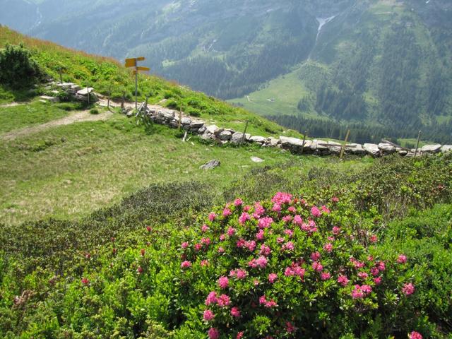 Blick auf den kleinen Übergang Col de Voré