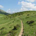 über saftige Alpweiden führt uns nun der Wanderweg Richtung Arnensee