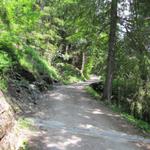 auf dem schönen Seeuferweg laufen wir nun dem Arnensee entlang