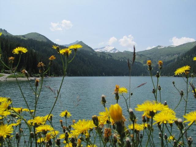 und immer wieder so eine eine schöne Aussicht