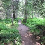 der Wanderweg führt durch den Wald nach Gritteli