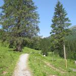 auf einem einfachen Wanderweg geht es nun Richtung Grosse Scheidegg