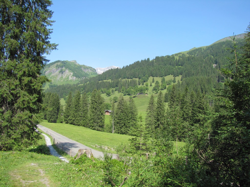 Blick Richtung Brochhütte. Dort hinauf führt uns heute diese einfache und kurze Wanderung