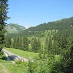 Blick Richtung Brochhütte. Dort hinauf führt uns heute diese einfache und kurze Wanderung