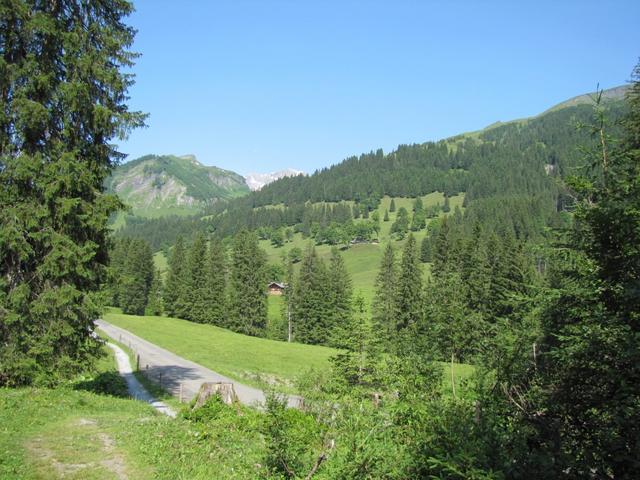 Blick Richtung Brochhütte. Dort hinauf führt uns heute diese einfache und kurze Wanderung