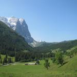 Wetterhorn, Grosse Scheidegg und wie heisst der kleine Berggipfel rechts davon?