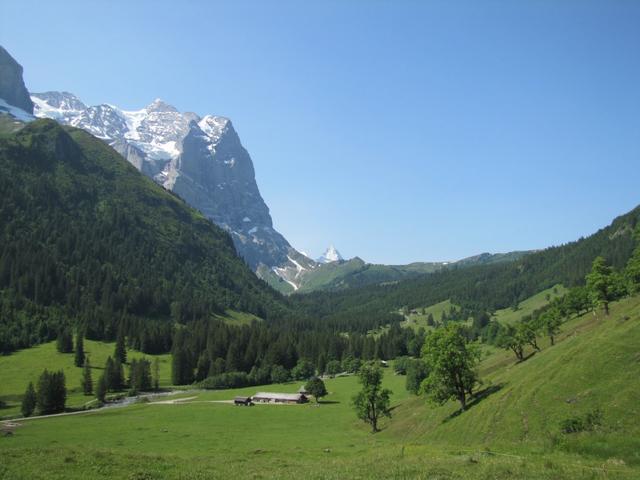 Wetterhorn, Grosse Scheidegg und wie heisst der kleine Berggipfel rechts davon?