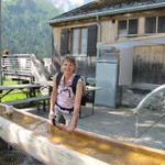 Mäusi erfrischt sich beim Brunnen der Brochhütte