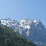 obwohl die Brochhütte nicht hoch gelegen ist, bietet sie doch ein phantastisches Panorama. Wetterhorn