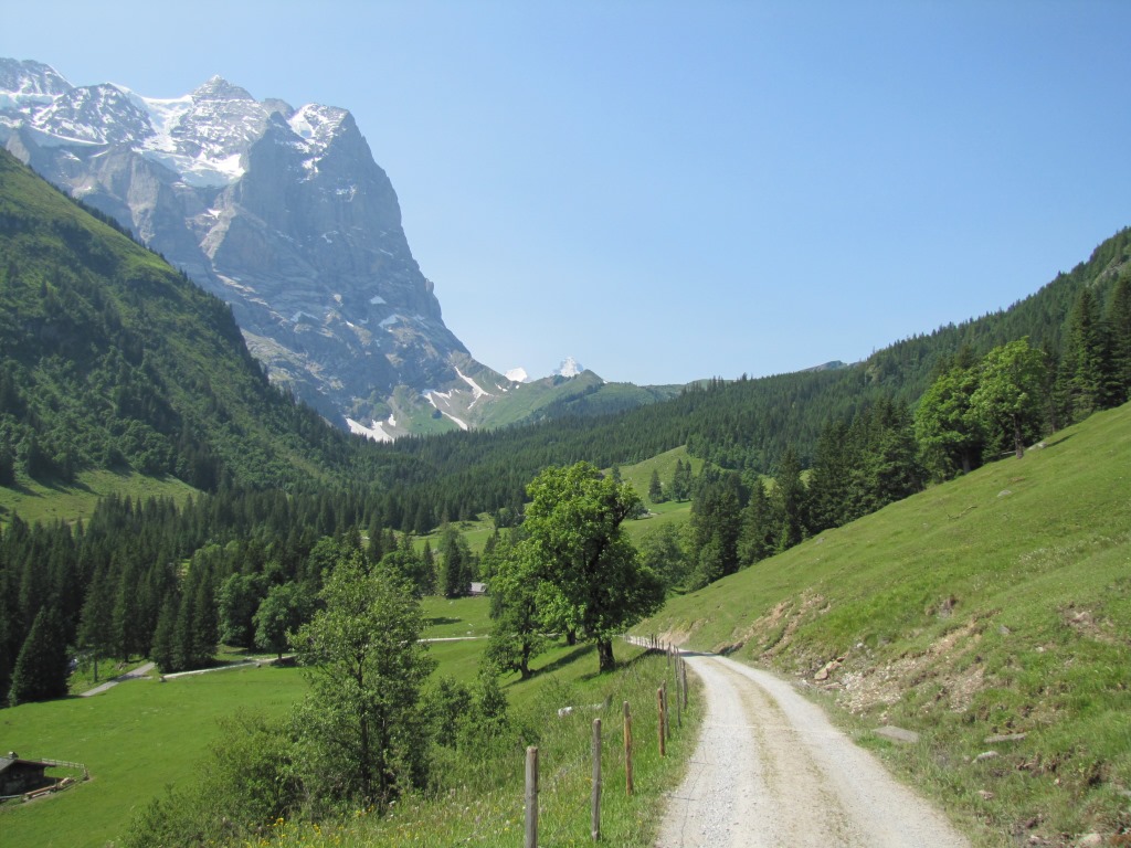 über die Alpstrasse verlassen wir die Brochhüte und laufen Richtung Punkt  1443 m.ü.M.