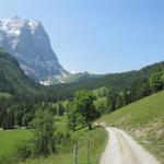 über die Alpstrasse verlassen wir die Brochhüte und laufen Richtung Punkt  1443 m.ü.M.