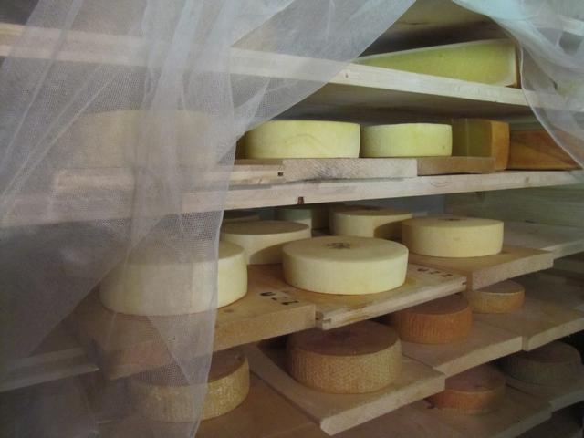 das Käselager. Der Käse war wirklich sehr gut