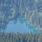 Blick auf den blauen Crestasee