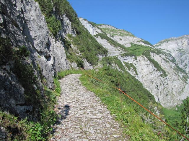 der Weg ist schön breit