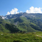 schönes Breitbildfoto mit Blick von Tegia Gronda, hinauf zum Ringelspitz