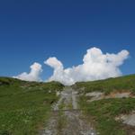 weiter geht unsere Wanderung Richtung Punkt 2133 m.ü.M.