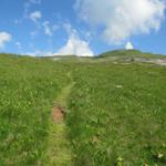 unsere Wanderung führt uns weiter Richtung Mutta Bella