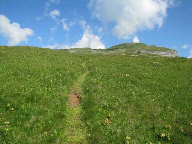 unsere Wanderung führt uns weiter Richtung Mutta Bella