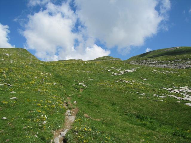 wir befinden uns nun auf dem Flimserstein. Vor 12000 Jahren ereignete sich hier eine gewaltige Naturkatastrophe