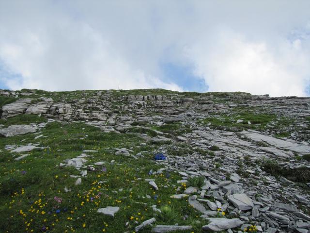 der Weg wird nun steiler