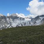 Blick auf die Plaun Segnas Sura mit Atlas, Piz Segnas und ganz zuhinterst der Piz Sardona