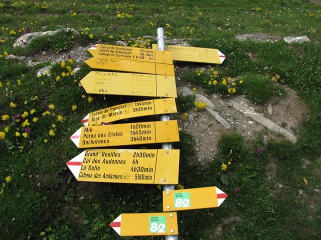 Wegweiser auf dem Col du Sanetsch 2242 m.ü.M.