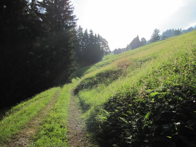 über Punkt 1295 m.ü.M. bei Fang fängt unsere Wanderung an