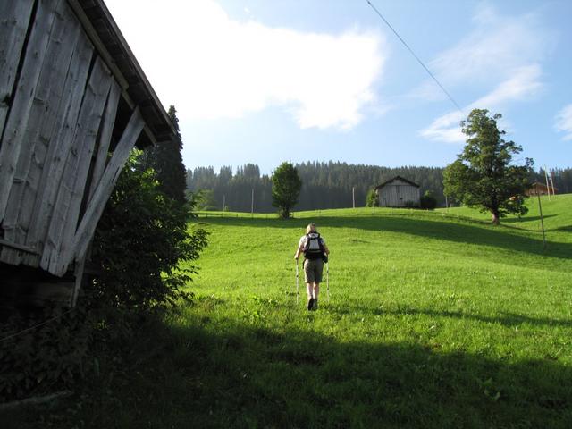 bei Punkt 1400 m.ü.M.