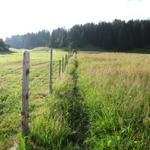 Rossweid 1454 m.ü.M.