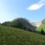 Blick in das Tal und die Alpweiden von Berzgumm