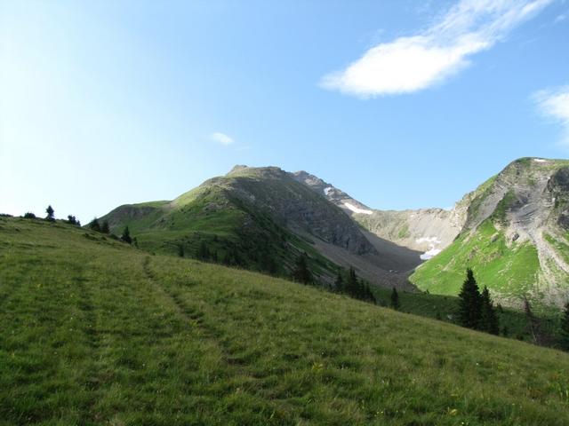 Blick in das Tal und die Alpweiden von Berzgumm