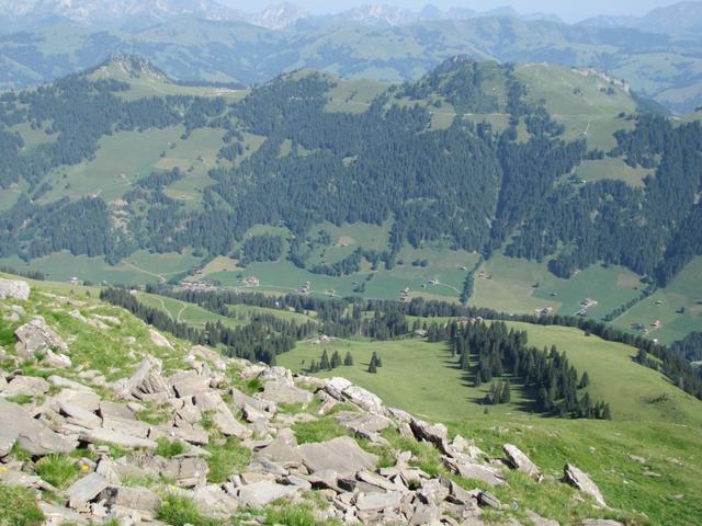 Tiefblick in das Turbachtal