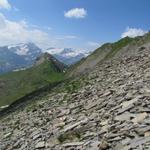 der Bergpfad führt durch die mit Schiefersteinen und -platten übersäte Ostflanke des Giferspitz