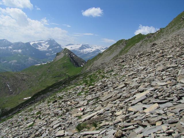 der Bergpfad führt durch die mit Schiefersteinen und -platten übersäte Ostflanke des Giferspitz