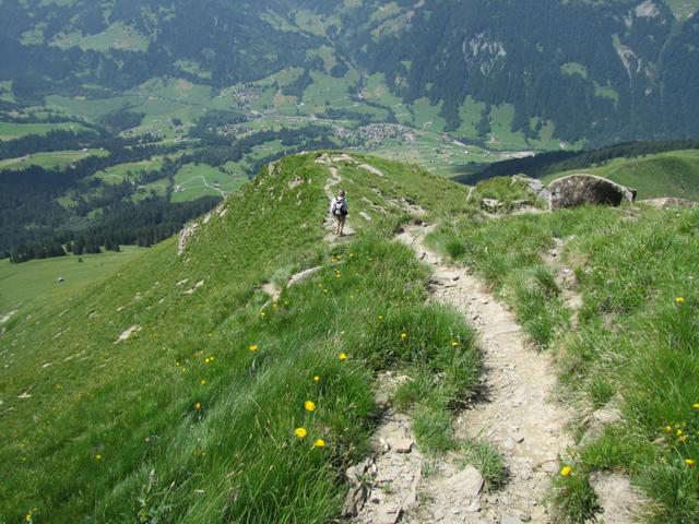 wir haben den Giferspitz verlassen und nehmen nun den Abstieg unter die Füsse