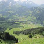 Blick nach Lauenen