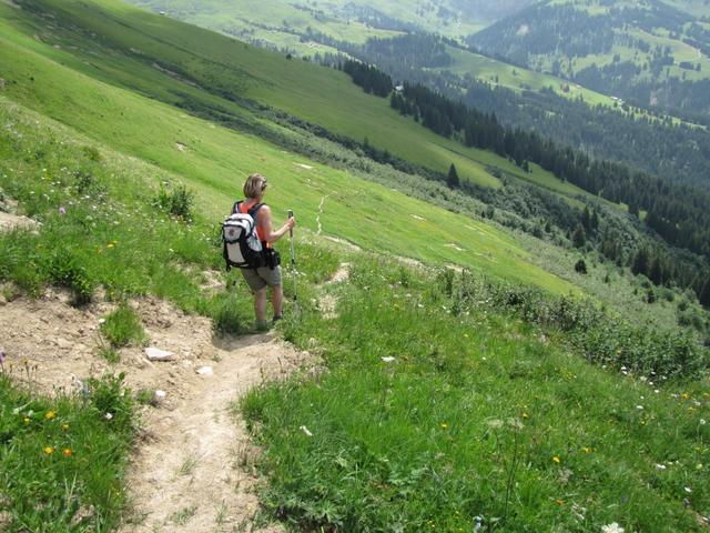 der Weg ist einfach ungefährlich aber steil