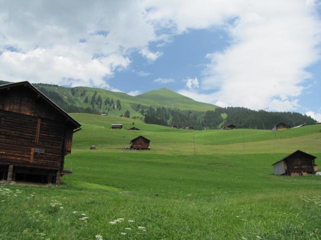 Blick hinauf zum Lauenehore