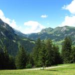 Blick zum Col du Pillon