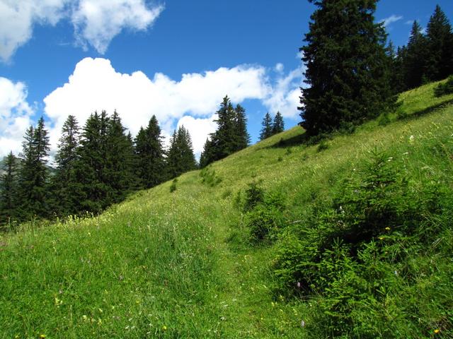 auf dem Weg zu Punkt 1607 m.ü.M.