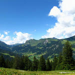 Breitbildfoto von Punkt 1675 m.ü.M. aus gesehen. Sanetschhorn, Oldenhorn, Col du Pillon und Seeberghorn