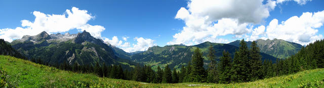 Breitbildfoto von Punkt 1675 m.ü.M. aus gesehen. Sanetschhorn, Oldenhorn, Col du Pillon und Seeberghorn