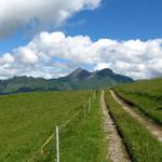 auf dem Weg zur Walliser Wispile. Diese Alpen sind Eigentum der Wallisergemeinde Savièse